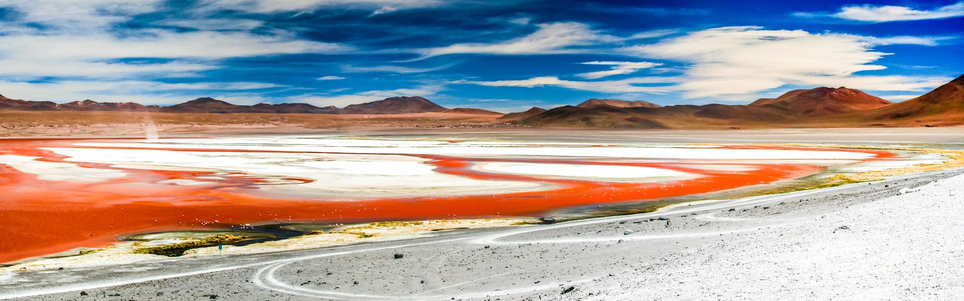 Laguna Colorada im bolivianischen Altiplano |  Dirk Stamm / Chamleon