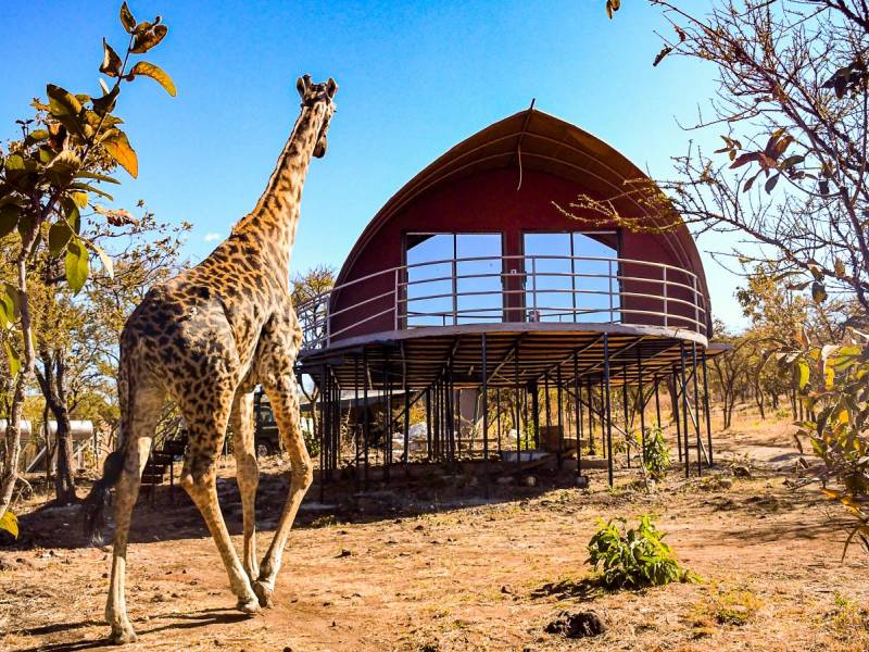 Ngorongoro Safari Lodge |  Ngorongoro Safari Lodge / Chamleon