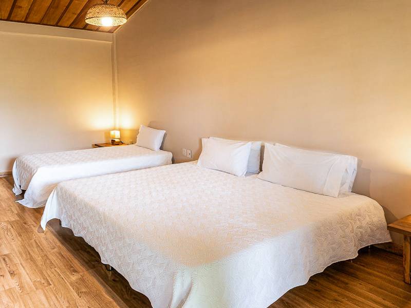 Hotelzimmer |  Hotel MuchoSur Quimbaya / Chamleon