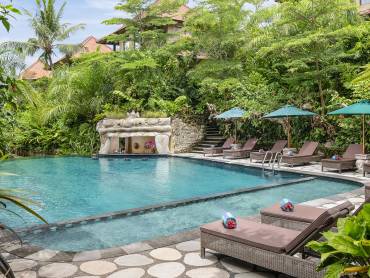 Pool |  Sakti Garden Ubud / Chamleon