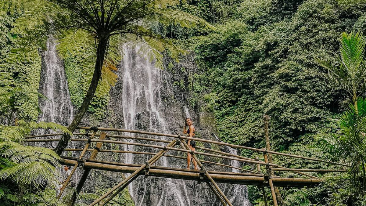 Banyumala Twin Wasserflle |  Tiff Ng, Pexels / Chamaeleon
