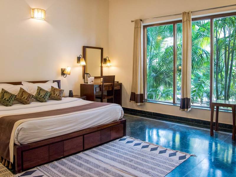 Ranthambore Regency |  Archna Singh, Ranthambore Regency / Chamleon