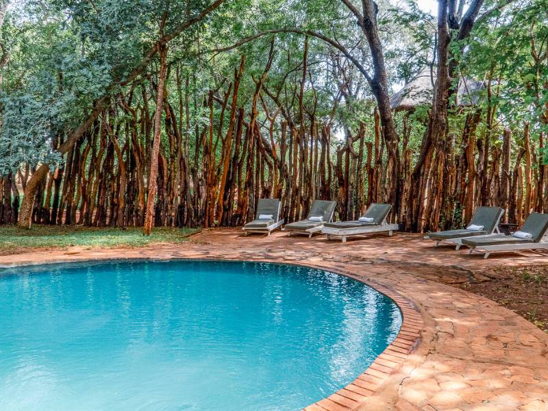 Ivory Lodge |  Ivory Lodge / Chamleon