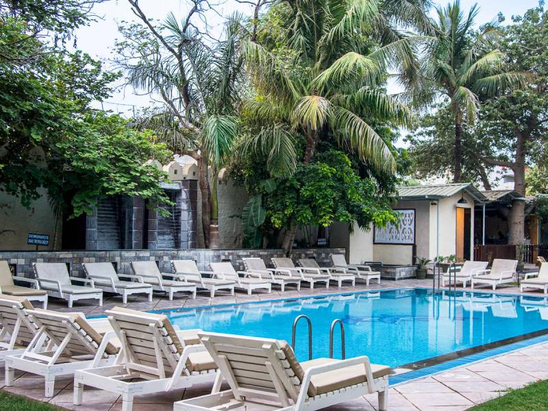 Ranthambore Regency |  Archna Singh, Ranthambore Regency / Chamleon