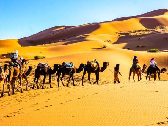 Kamelritt durch die Sandberge des Erg Chebbi |  Claudia Exner / Chamleon