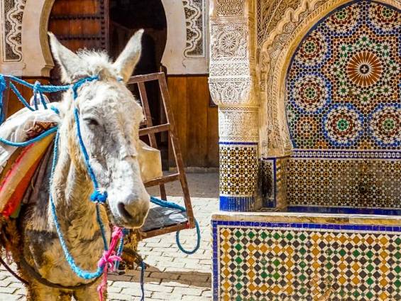 Pause |  Claudia Exner / Chamleon