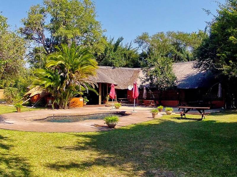 Thebe River Safaris Lodge | © Thebe River Safaris Lodge / Chamäleon Thebe River Safaris Lodge | © Thebe River Safaris Lodge / Chamäleon