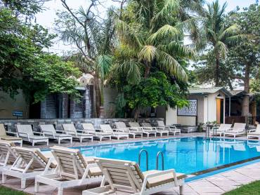 Ranthambore Regency |  Archna Singh, Ranthambore Regency / Chamleon