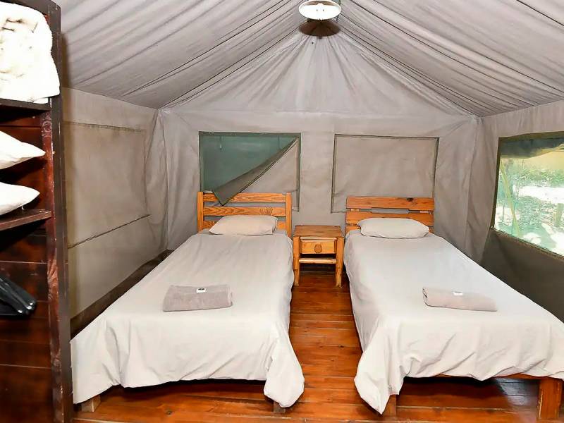 Zelt | © Letaba Rest Camp / Chamäleon Zelt | © Letaba Rest Camp / Chamäleon