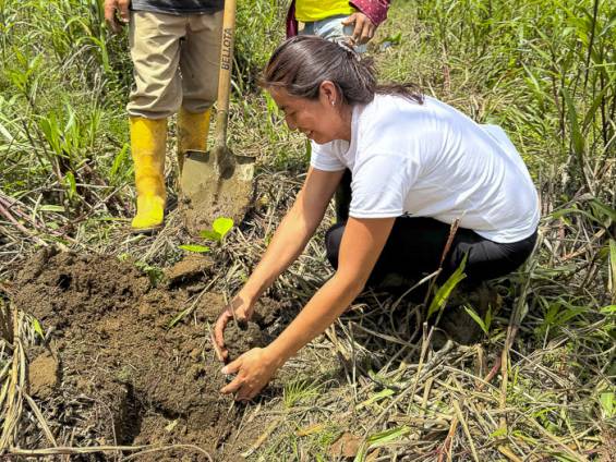 Bume pflanzen |  Alfonso Tandazo / Chamleon
