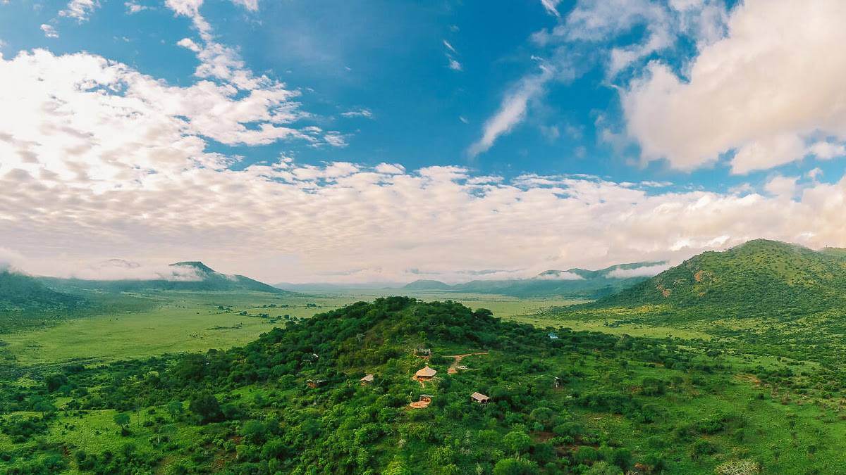 Mkomazi Wilderness Retreat  |  Mkomazi Wilderness Retreat / Chamleon