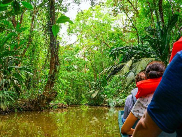 Regenwald Tortuguero |  Mathias Trojahn / Chamleon