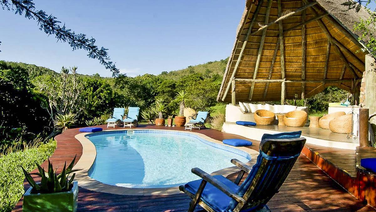 Sibuya Forest Camp |  Sibuya Forest Camp / Chamleon