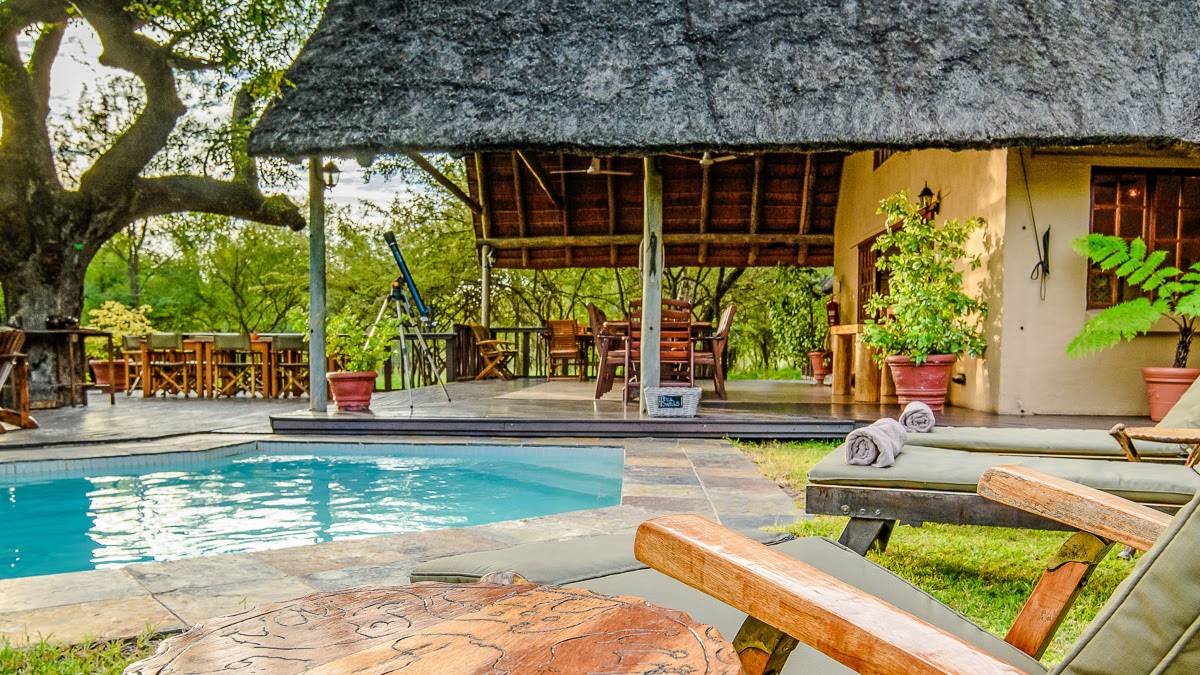 Needles Safari Lodge  |  Needles Safari Lodge / Chamleon