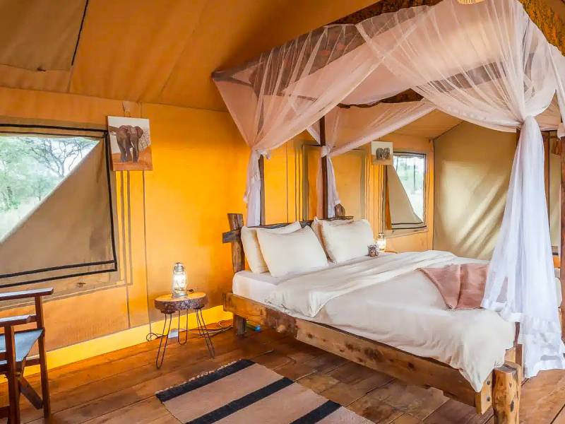 Baobab Tented Lodge  |  Baobab Tented Lodge / Chamleon