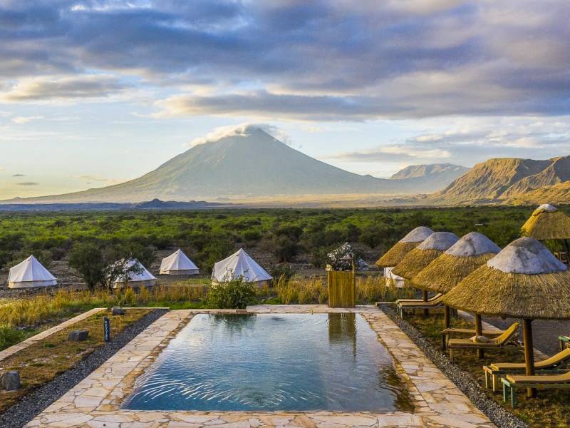 Africa Safari Lake Natron Lodge  |  Africa Safari Lake Natron Lodge / Chamleon
