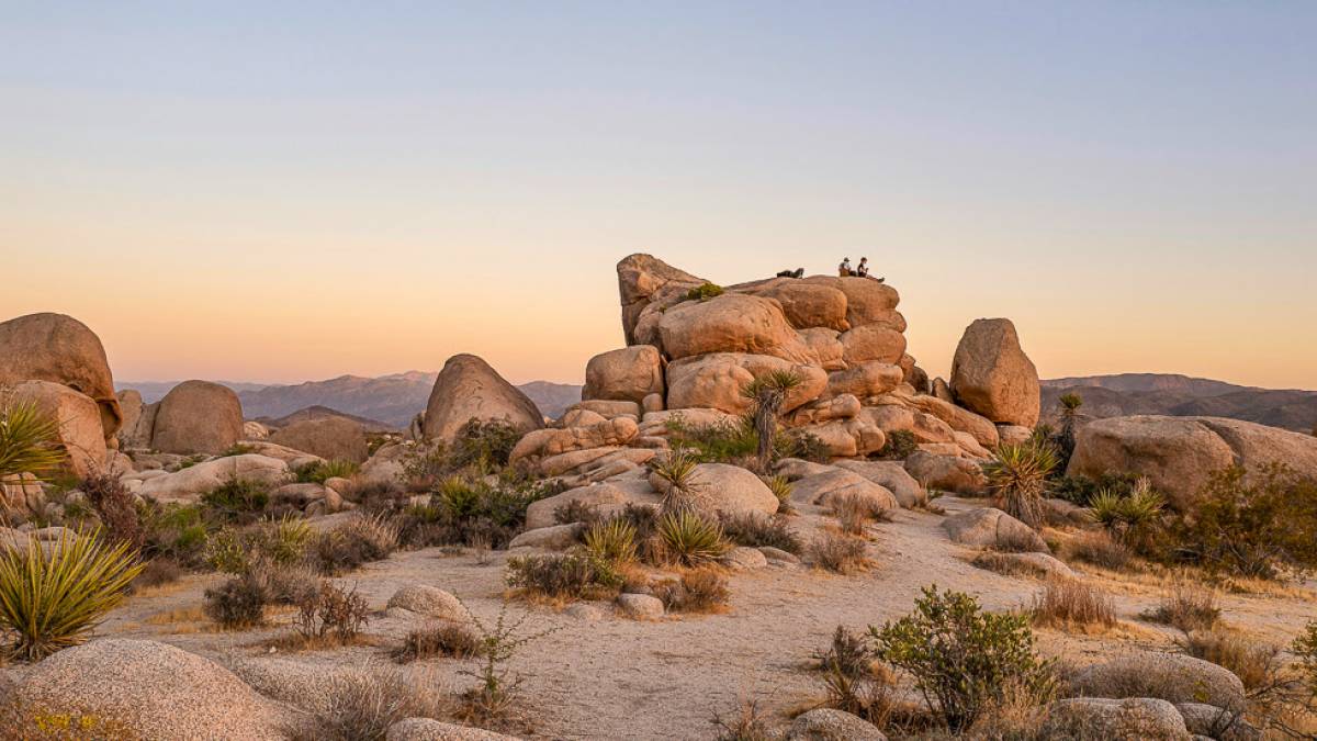 Joshua Tree Nationalpark |  Davey Heuser, Unsplash / Chamleon