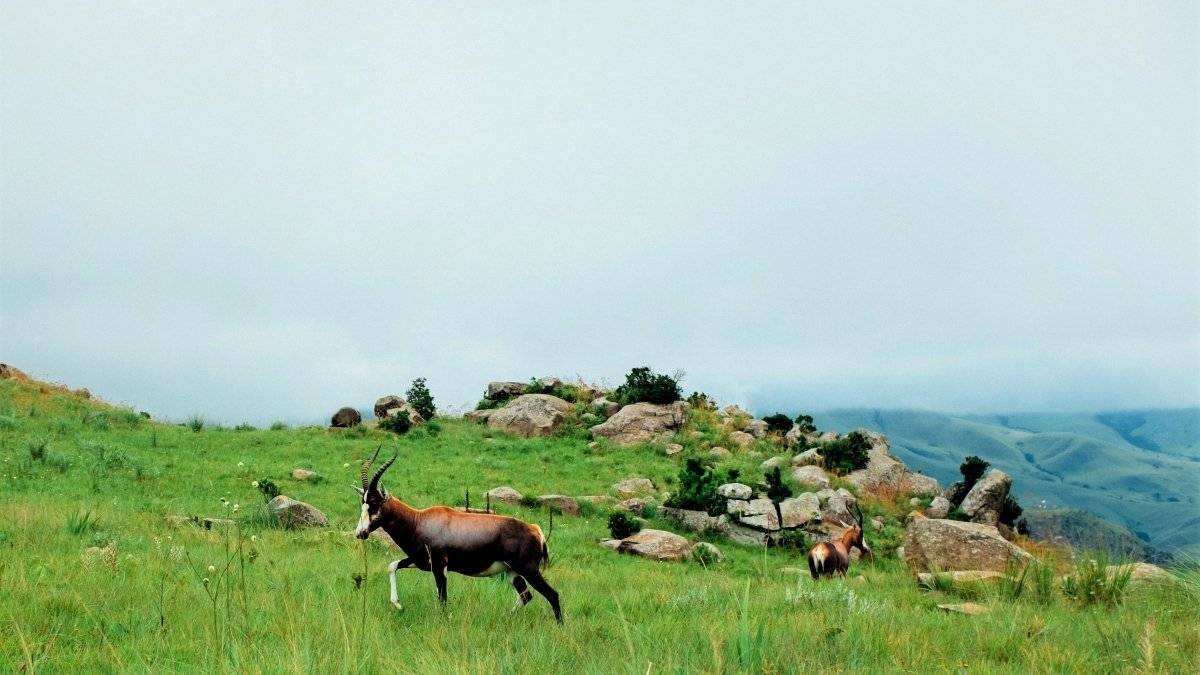 Eswatini (Swaziland) - Official Tourism Video