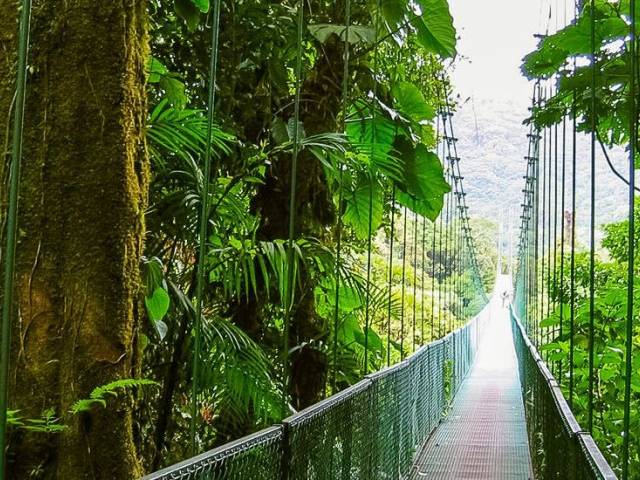 Hngebrcke im Naturreservat Monteverde |  Gnter Voigtmann / Chamleon