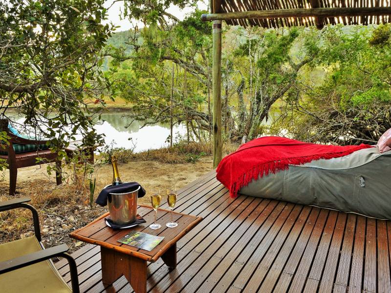 Sibuya Forest Camp |  Sibuya Forest Camp / Chamleon
