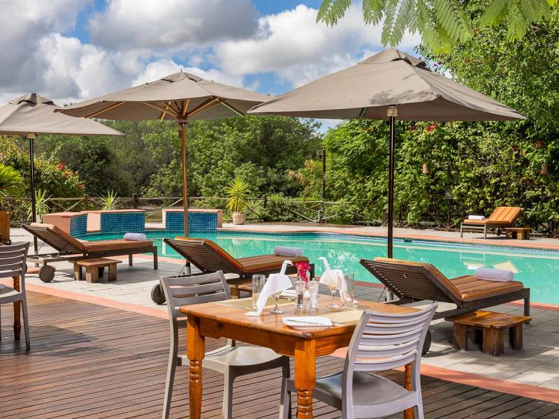 Sedia Riverside Hotel |  Sedia Riverside Hotel / Chamleon