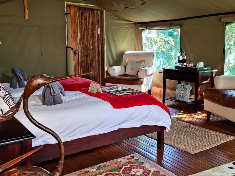 Sibuya Forest Camp Room |  Sibuya Forest Camp / Chamleon
