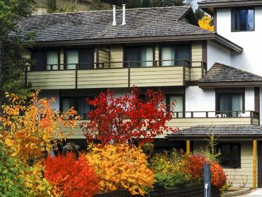Jasper Inn & Suites |  Jasper Inn & Suites / Chamleon