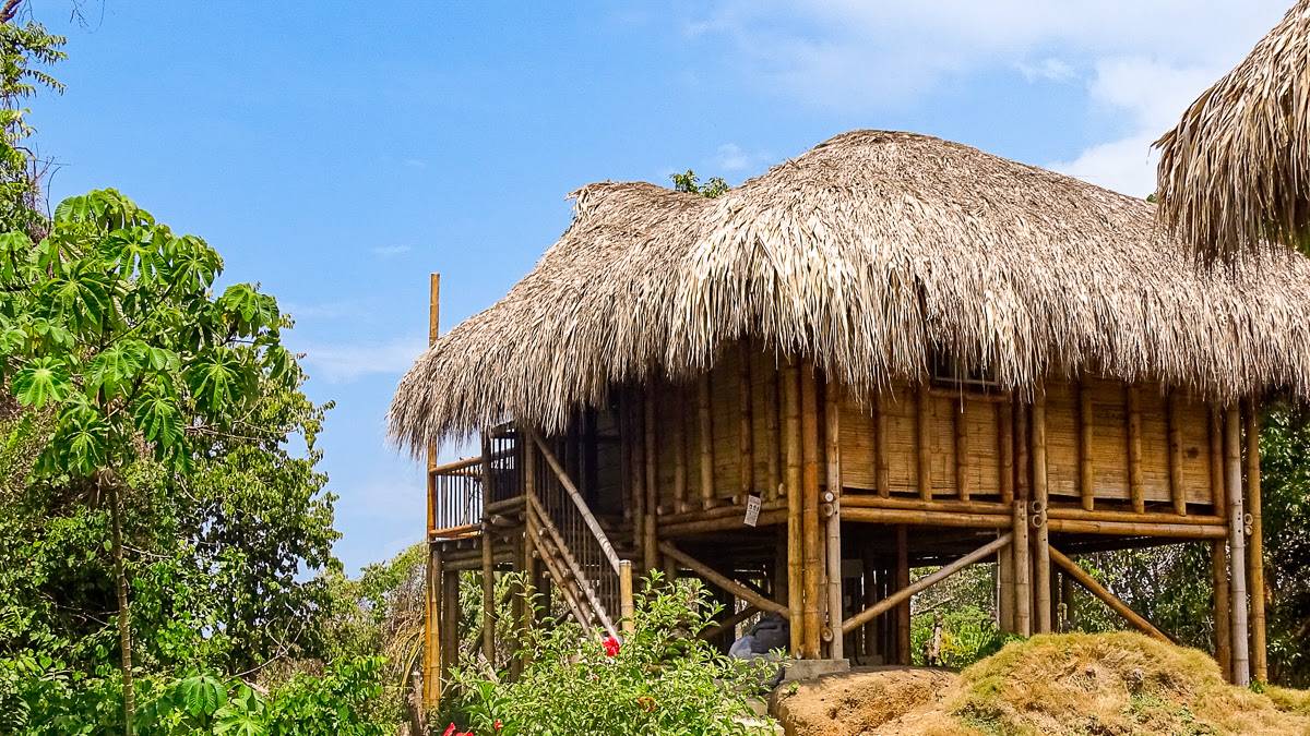 Villa Maria |  Villa Maria / Chamleon