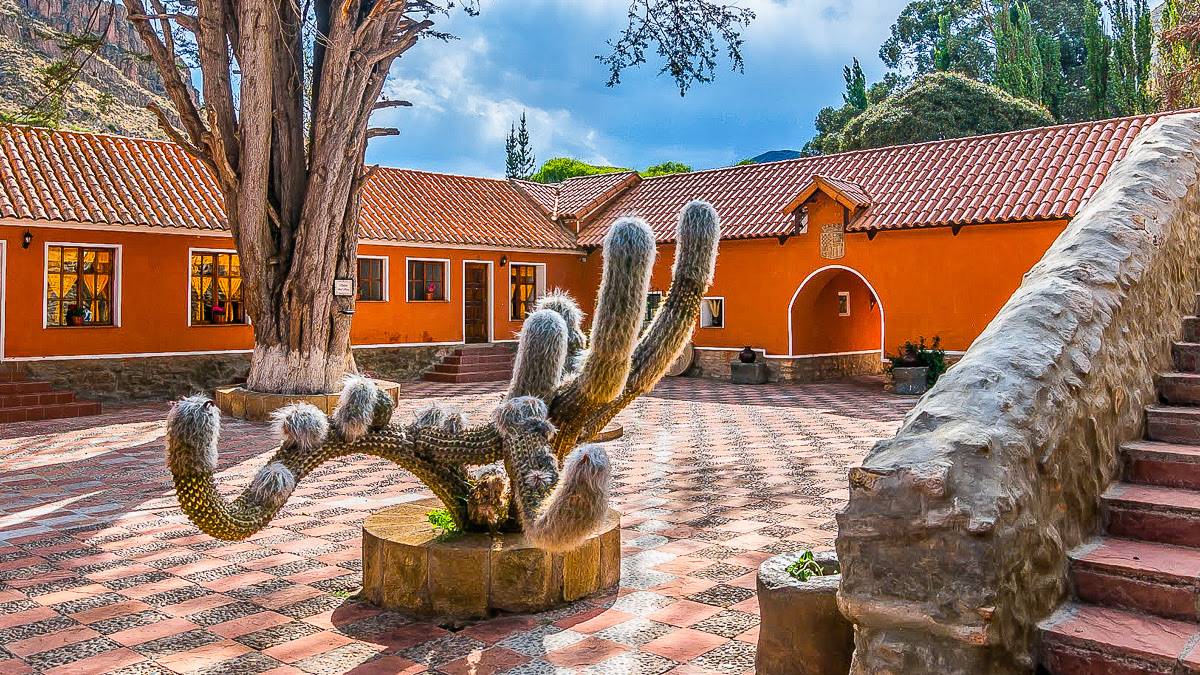 Museo Cayara |  Marco Antonio Torres Cardozo, Museo Cayara / Chamleon