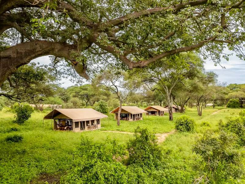 Baobab Tented Lodge  |  Baobab Tented Lodge / Chamleon