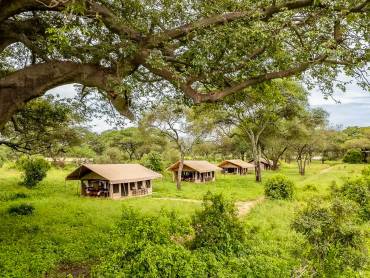 Baobab Tented Lodge  |  Baobab Tented Lodge / Chamleon