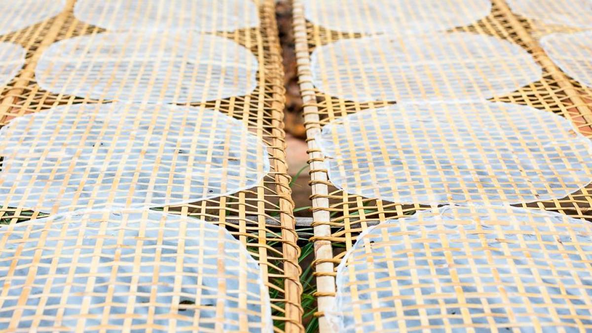 Reispapier trocknet in der Sonne |  Exotissimo Travel / Chamleon