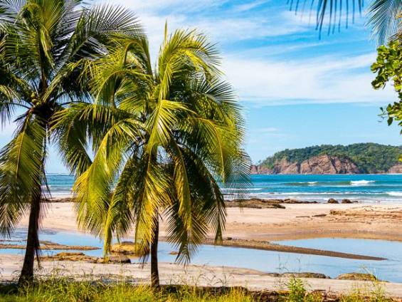 Strand auf Nicoya |  Christian Hergenrther / Chamleon
