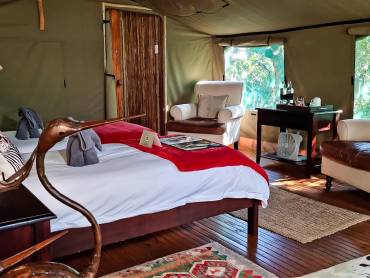Sibuya Forest Camp Room |  Sibuya Forest Camp / Chamleon