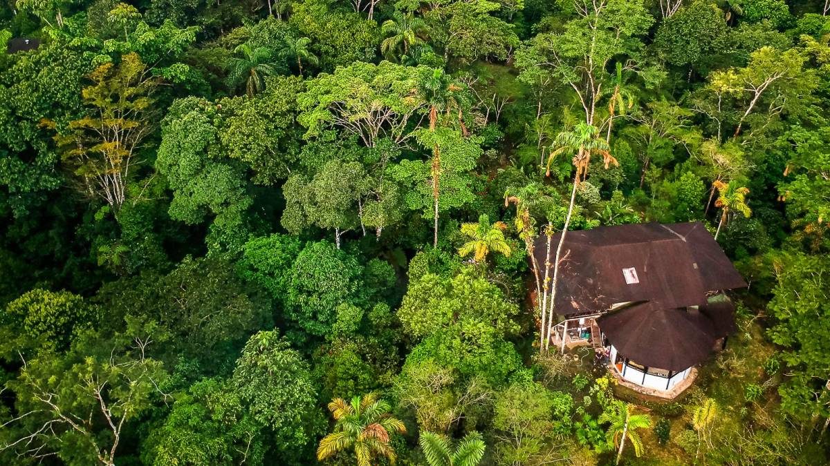 Die Las Cascadas Jungle Lodge mitten im Regenwald |  Alfonso Tandazo, Surtrek / Chamleon