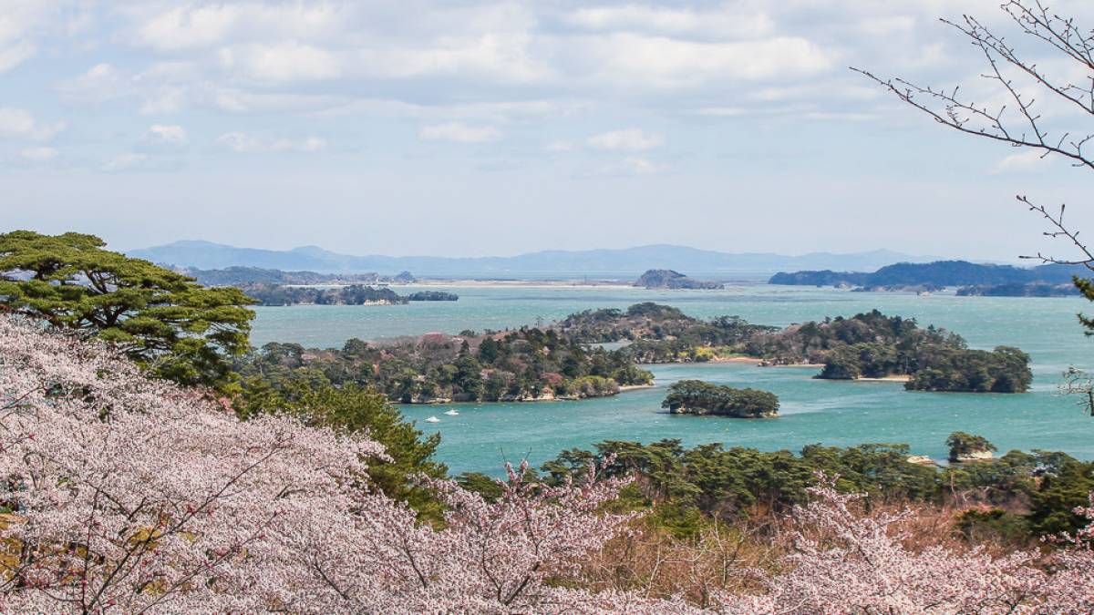 Bucht von Matsushima | © Pamela Seifert / Chamäleon Bucht von Matsushima | © Pamela Seifert / Chamäleon