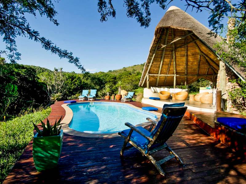Sibuya Forest Camp |  Sibuya Forest Camp / Chamleon