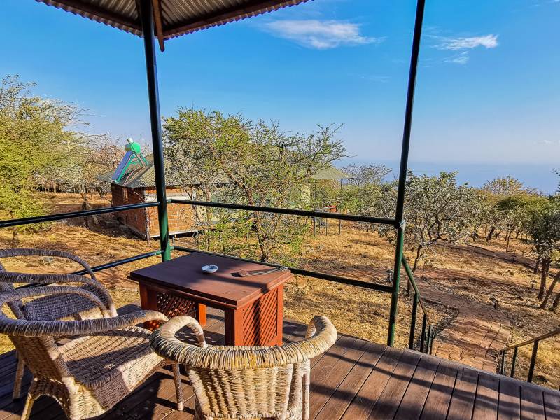 Ngorongoro Wildcamp |  Ngorongoro Wildcamp / Chamleon