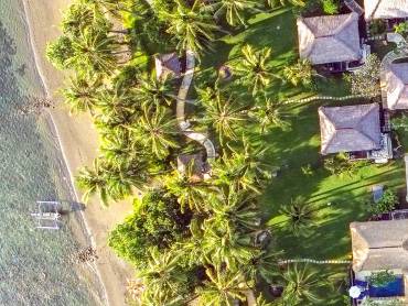 Hotel Gelnde |  Puri Bagis Lovina / Chamleon