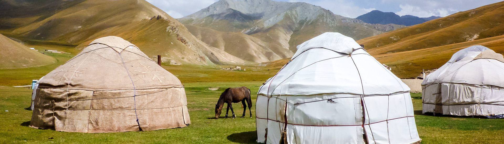 Jurtenleben |  Novi Nomad Tours / Chamleon