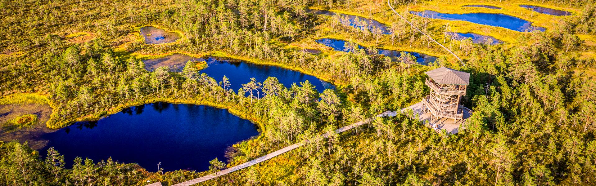 Viru-Moor im Lahemaa Nationalpark |  Eloi_Omella, iStockphoto.com / Chamleon