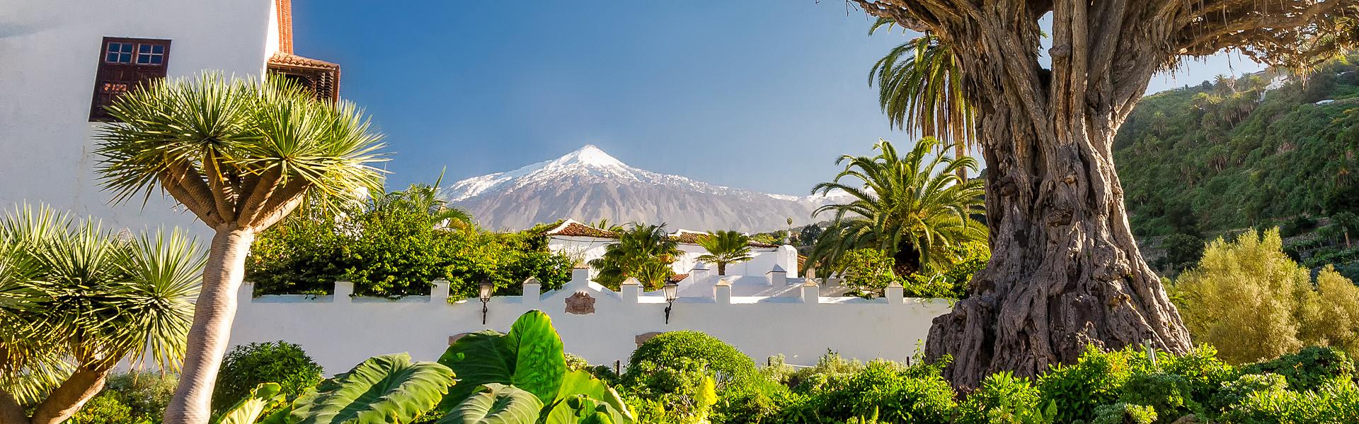 Drachenbaum und Teide |  Cameris, iStockphoto.com / Chamleon