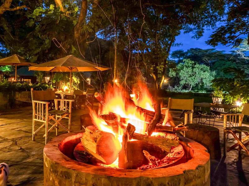 Mount Meru Game Lodge | © Paul Joynson-Hicks, Mount Meru Game Lodge / Chamäleon