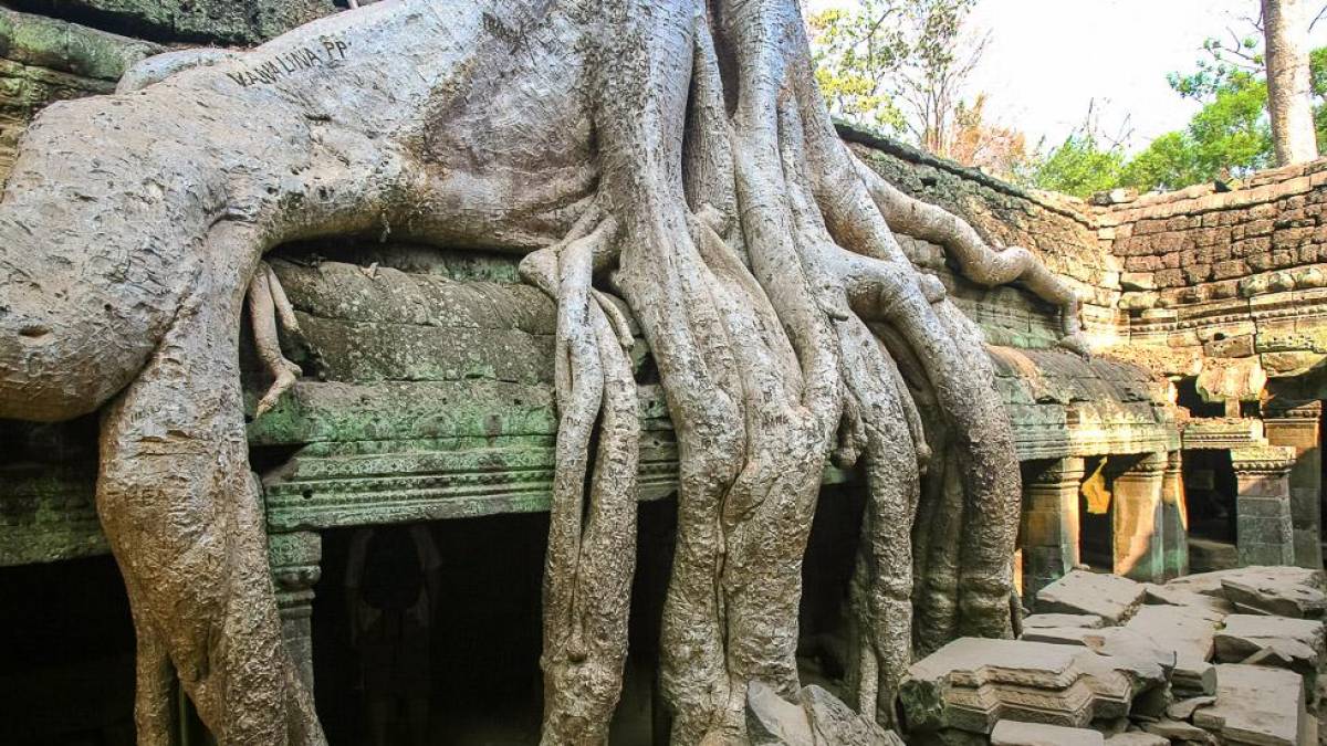 Ta Prohm in Angkor | © A. Schuhmacher-Plesse / Chamäleon Ta Prohm in Angkor | © A. Schuhmacher-Plesse / Chamäleon