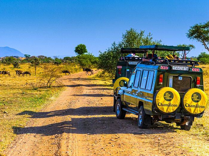 Safari in Tansania | © Kai-Uwe Küchler / Chamäleon