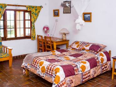 Dedza Pottery Lodge |  Dedza Pottery Lodge / Chamleon
