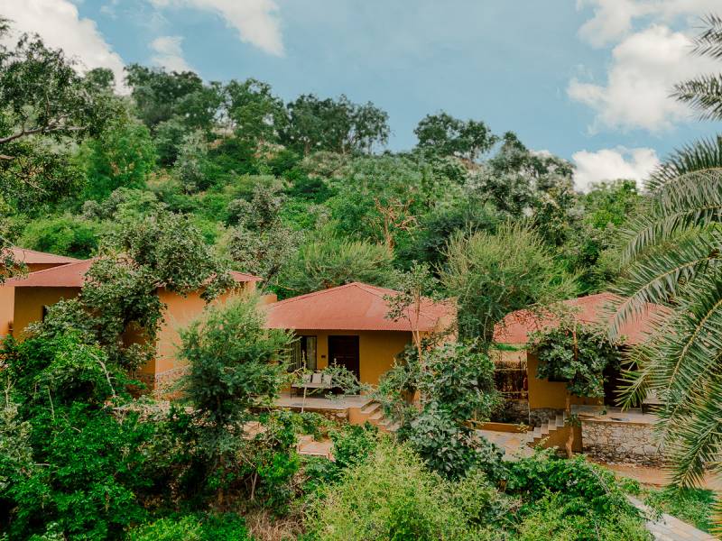 Aloof Jungle Resort |  Aloof Jungle Resort / Chamleon