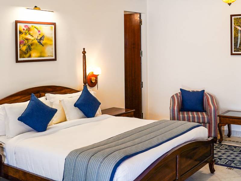 Sariska Safari Lodge |  Sariska Safari Lodge / Chamleon