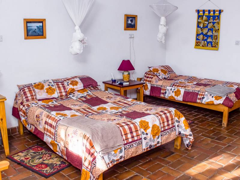 Dedza Pottery Lodge |  Dedza Pottery Lodge / Chamleon