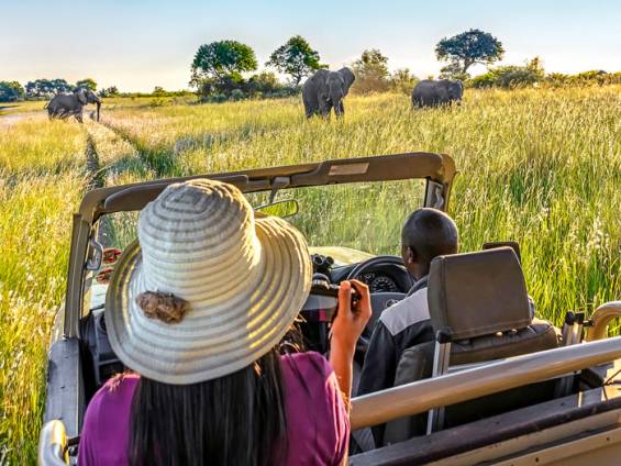 Namushasha River Lodge |  MLSpencer, Gondwana Collection / Chamleon